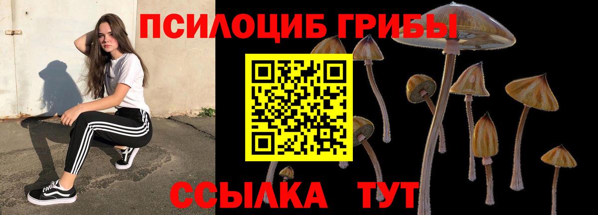 Alpha-PVP СК   Вход с VPN  NBOMe  MDMA  Гашиш  Грязи  Вейп ТГК  Меф МЯУ МЯУ   Cocaine  Метамфетамин  Бошки Шишки 